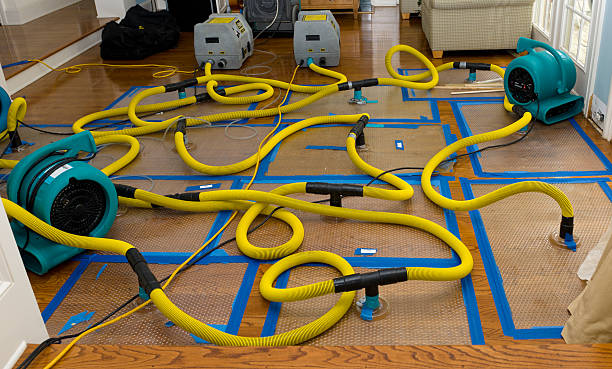 Professional Crawl Space Water Removal technician working in Rochester, MI